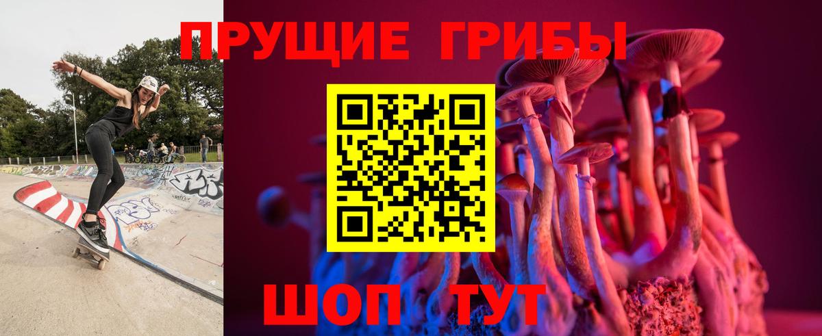 Чернушка  купить   Вход с VPN  Псилоцибиновые грибы GOLDEN TEACHER  Псилоцибиновые грибы MAGIC MUSHROOMS 
